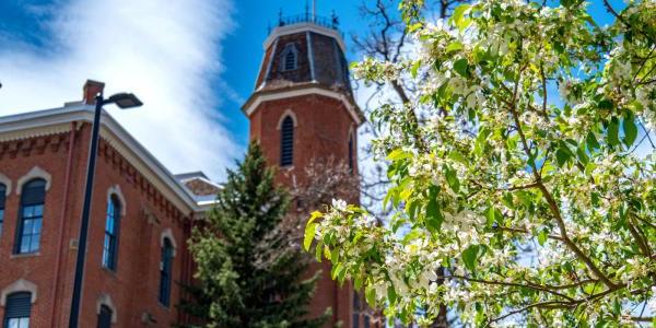 Old Main in spring